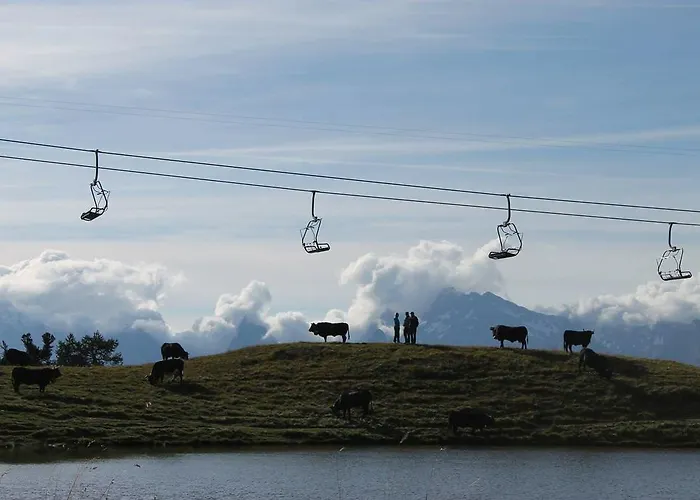 Greppon Blanc A2 南达